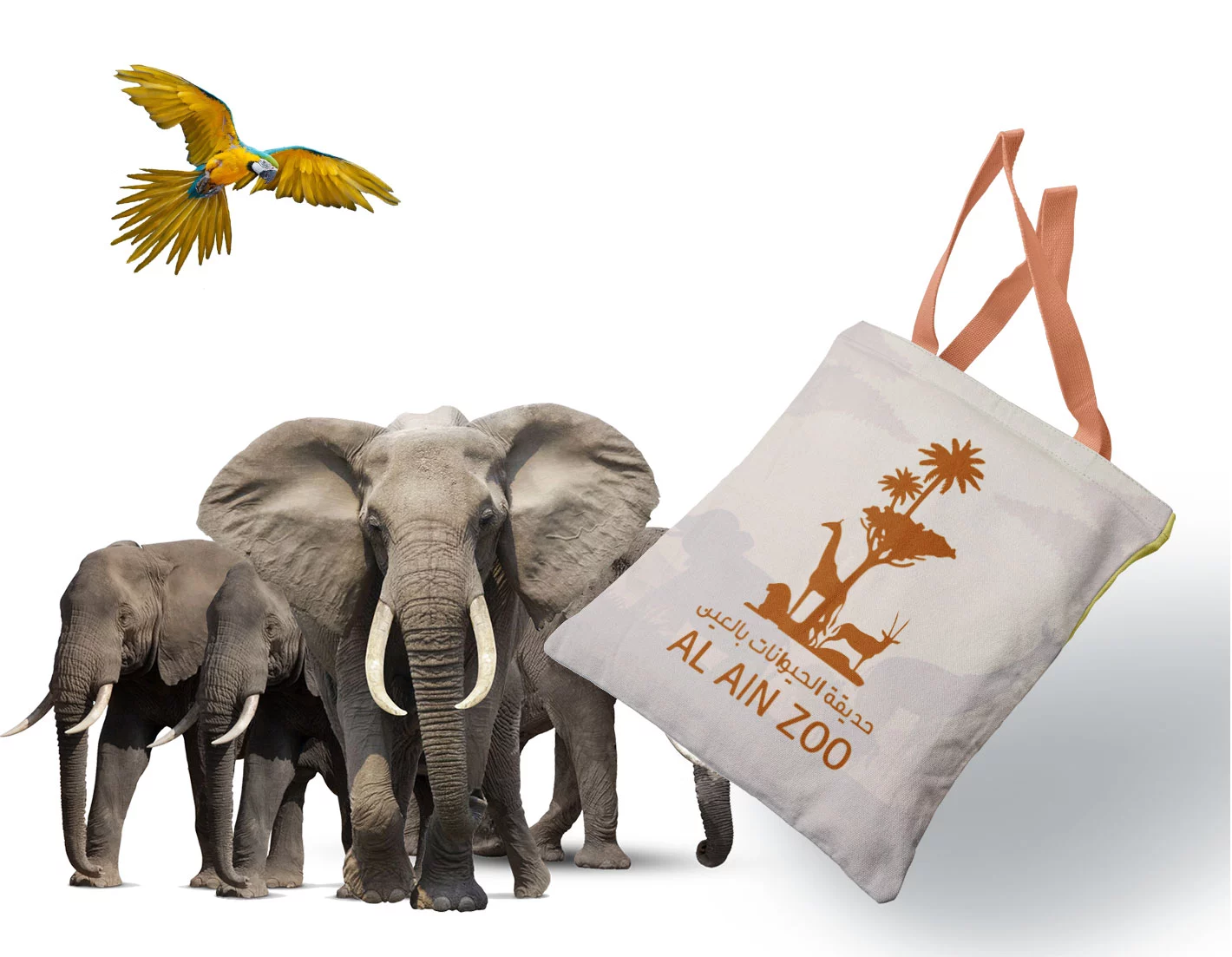 Go Up - Safari Souvenir Bag Mockup