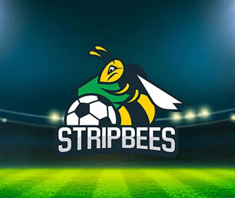 Go Up - Stripbees